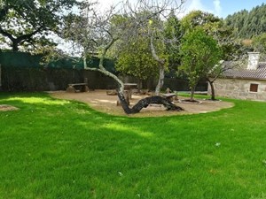 Cómo proteger mi jardín del frío