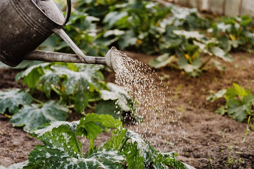 ¿Cómo tengo que preparar mi jardín para la llegada de la primavera?