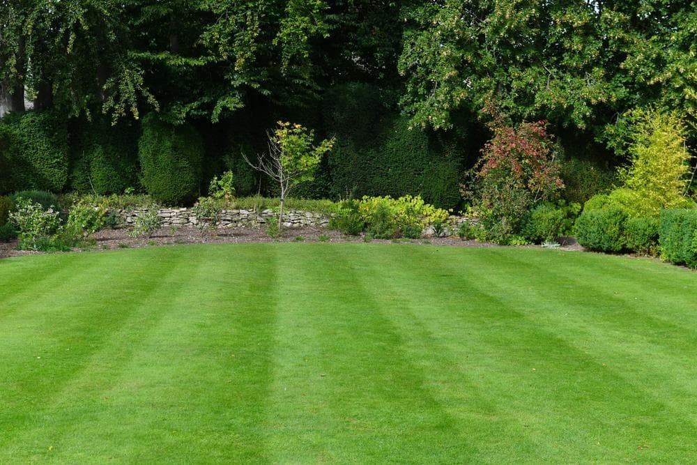 Consejos para mantener el césped de su jardín en buen estado