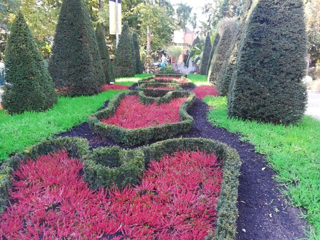 Creación y diseño de jardines en Pontevedra provincia, ¡llámanos!