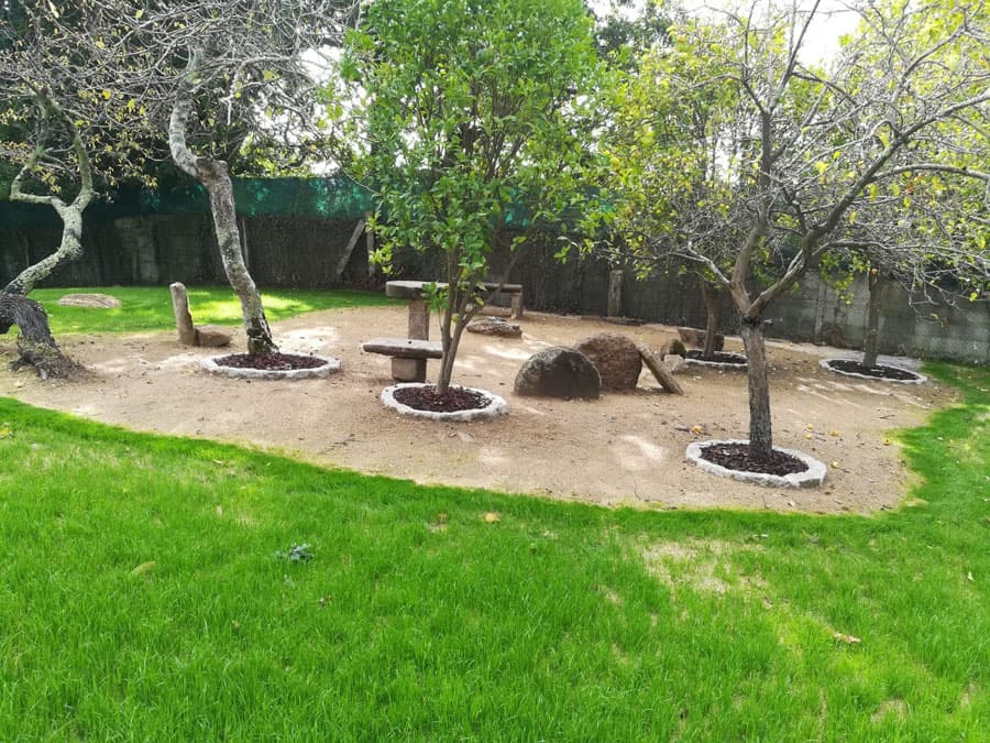Jardineros con amplia experiencia y formación