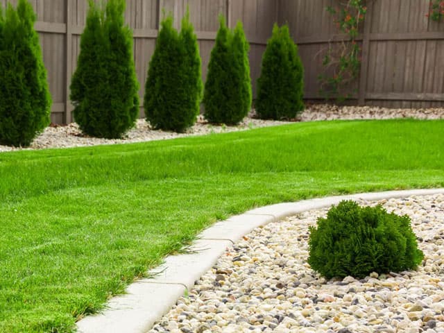 Contacte con Xardinería Poio para sus trabajos de jardinería