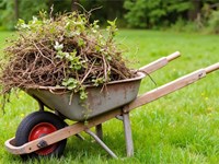 La importancia del desbroce de fincas para evitar plagas