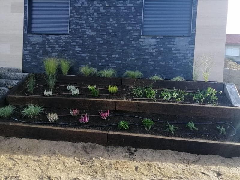 ¿Qué plantas son más adecuadas en zonas muy húmedas?