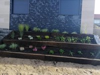 ¿Qué plantas son más adecuadas en zonas muy húmedas?