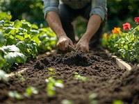 Qué tratamientos debo hacer a mi jardín este verano